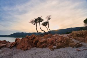 Read more about the article Korsika Reise Tag 7 – Palombaggia – ein verstecktes Juwel mit kristallklarem Wasser und weißen Sandstränden lädt für mehr als eine Nacht ein