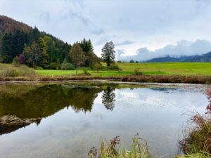 Mehr über den Artikel erfahren Entspannte Wanderung zur Klausbachklamm bei Reit im Winkl Startpunkt Wohmobil Hafen